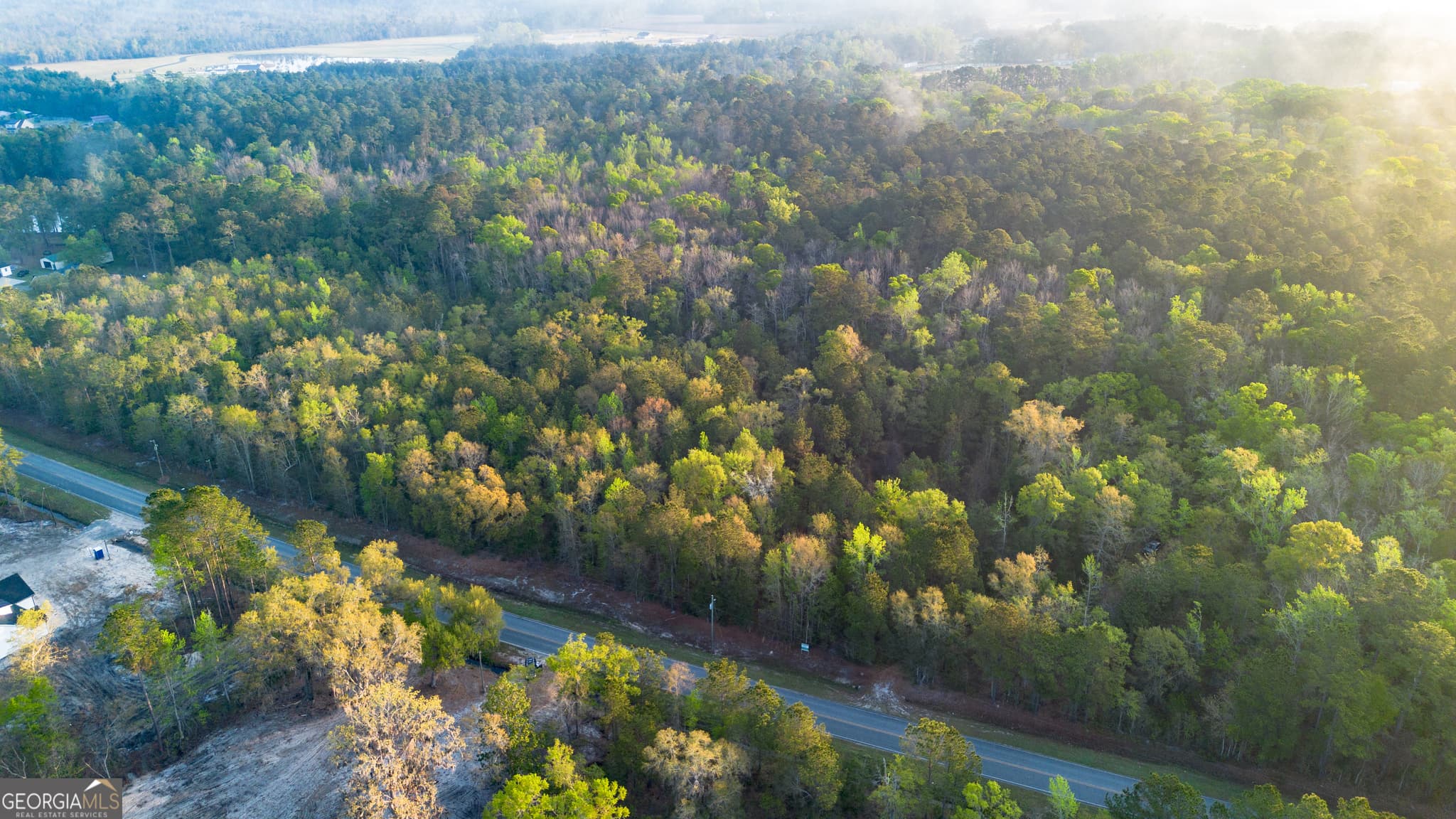 unimproved land for sale at 0 Little Mccall Road, Rincon, GA 31326 — photo 6