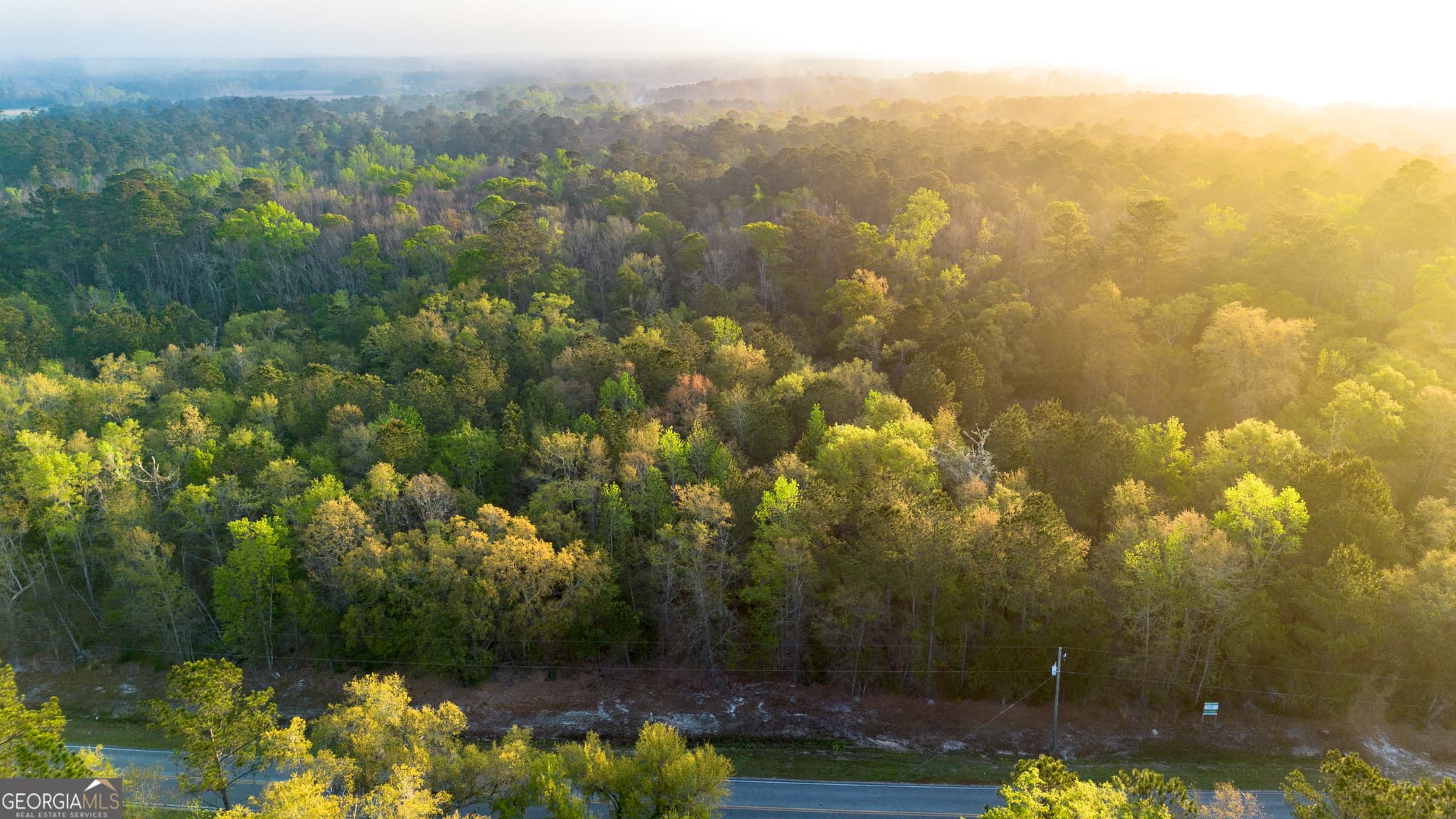 unimproved land for sale at 0 Little Mccall Road, Rincon, GA 31326 — photo 3