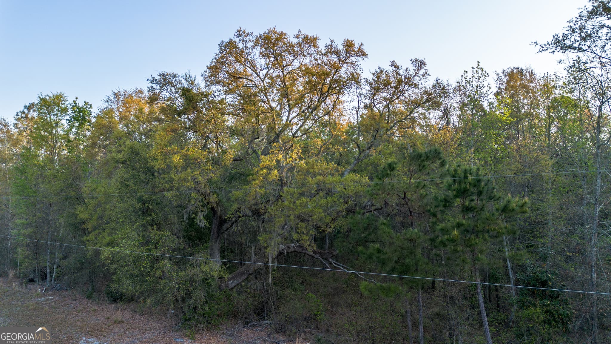 unimproved land for sale at 0 Little Mccall Road, Rincon, GA 31326 — photo 9