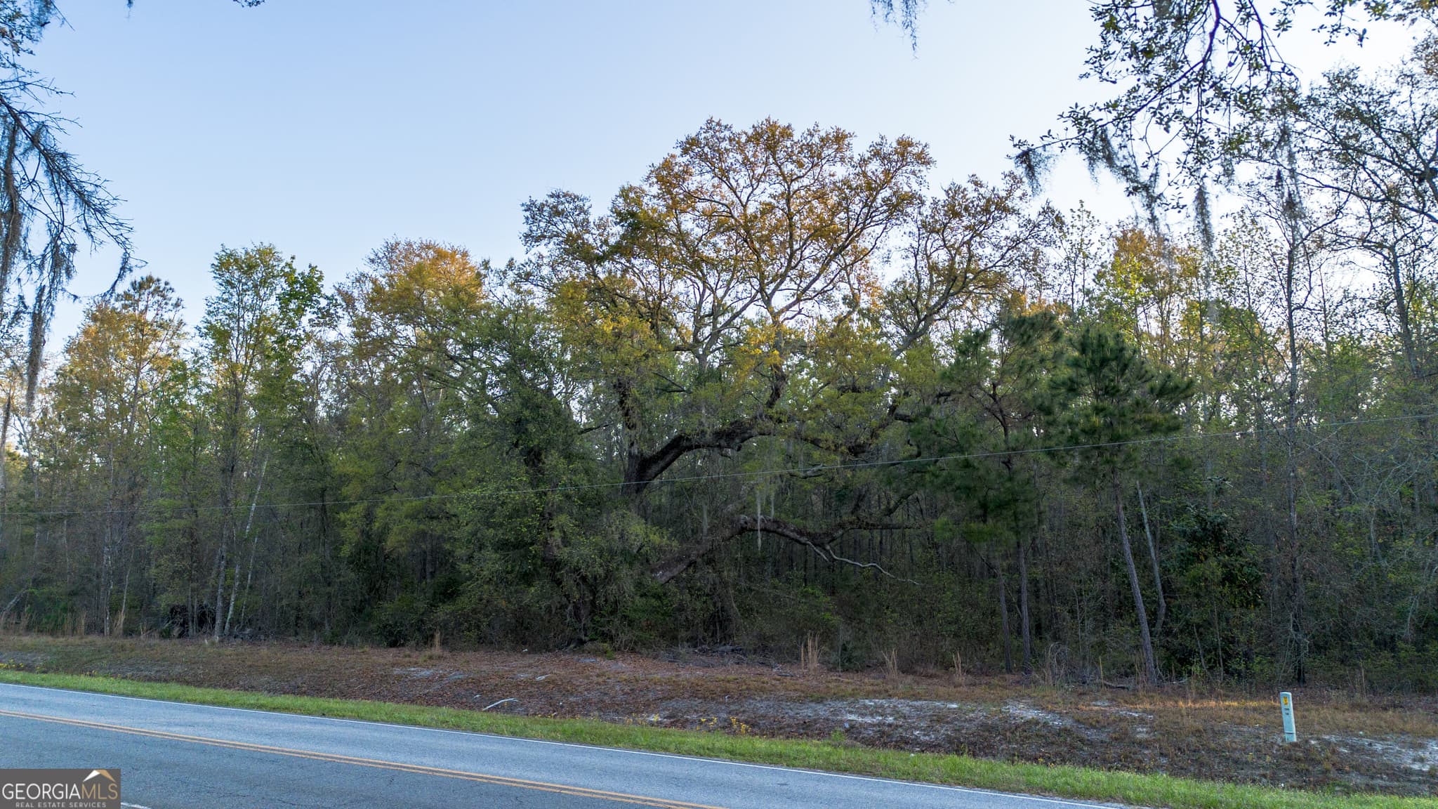 unimproved land for sale at 0 Little Mccall Road, Rincon, GA 31326 — photo 10