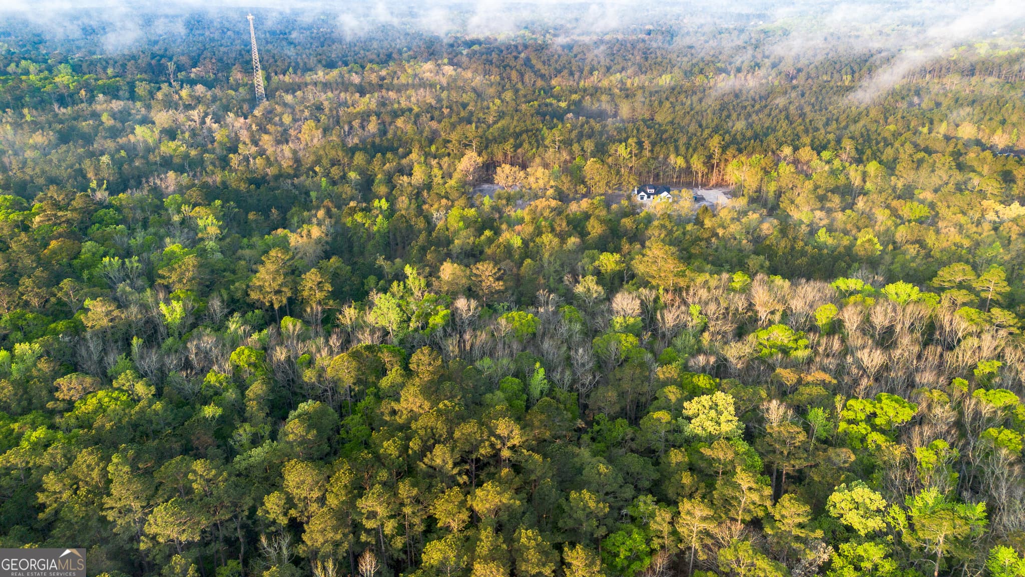 unimproved land for sale at 0 Little Mccall Road, Rincon, GA 31326 — photo 4