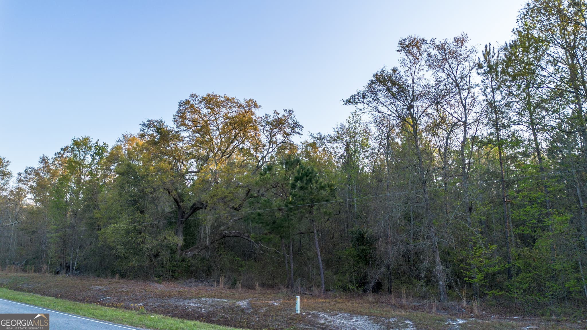 unimproved land for sale at 0 Little Mccall Road, Rincon, GA 31326 — photo 8
