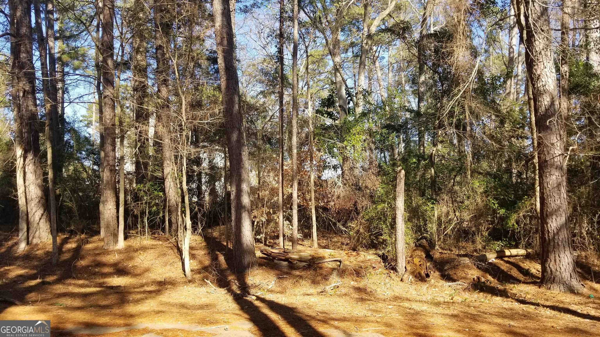 residential lot for sale at 2405 Hi Roc Circle, Conyers, GA 30012 — photo 4