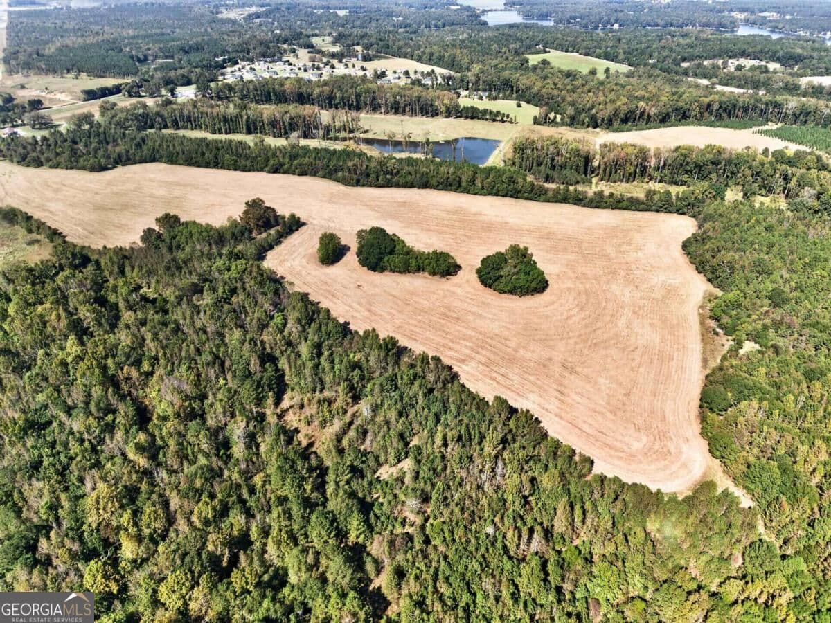 2 bedroom, 1.5 bathroom, 2,020 sq ft single family residence for sale at 366 Old Phoenix Road, Eatonton, GA 31024 — photo 9