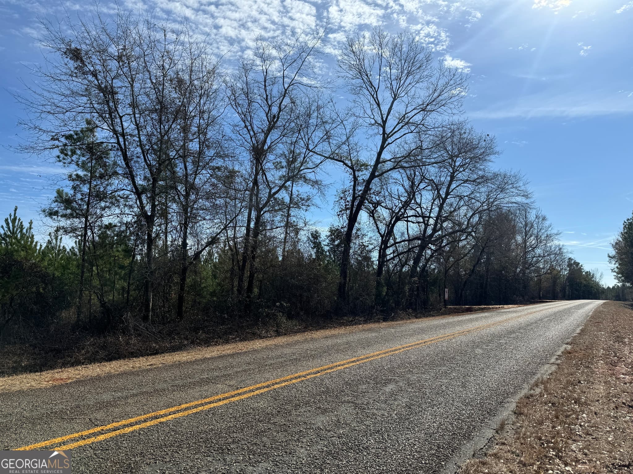 01 Dozier Road, Ellaville, GA 31806 — most recent listing photo