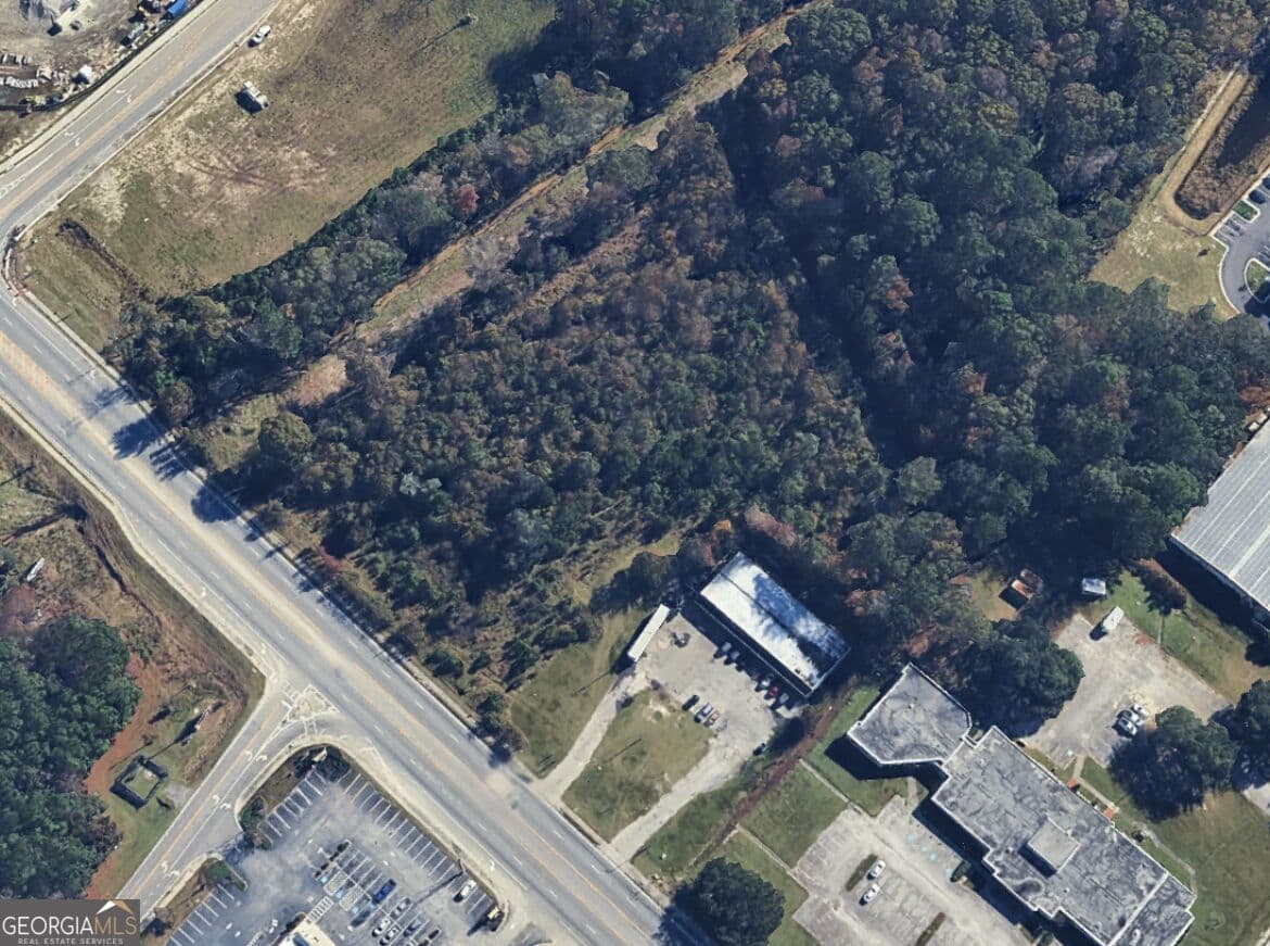 unimproved land for sale at 1165/0 E Oglethorpe Highway COMBINED, Hinesville, GA 31313 — photo 3