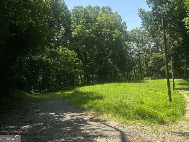 residential lot for sale at 25 Jericho Lane, Dahlonega, GA 30533 — photo 3