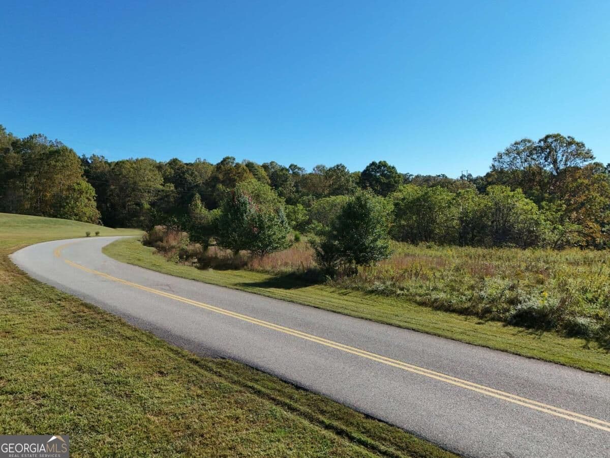 residential lot for sale at TR 2 Arbor Acres Farm Road, Blairsville, GA 30512 — photo 2