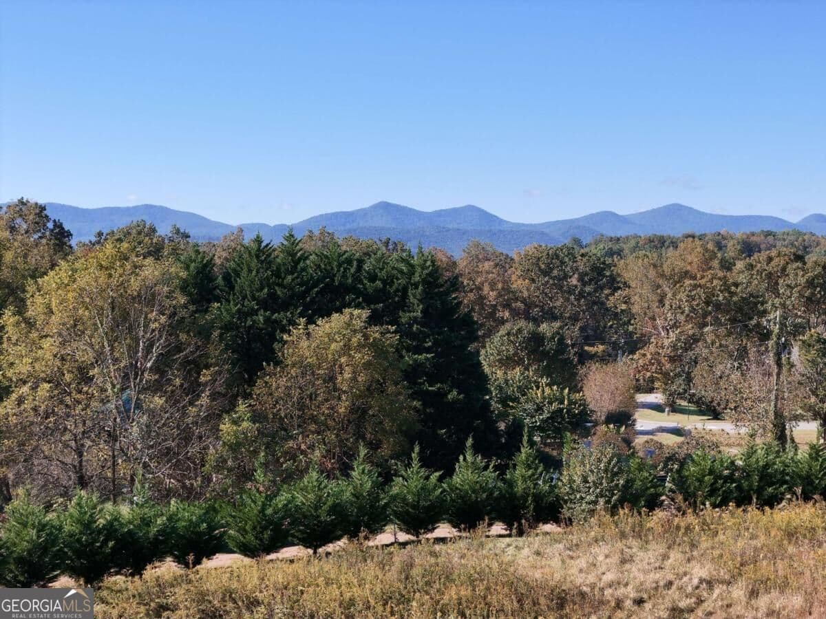 residential lot for sale at TR 2 Arbor Acres Farm Road, Blairsville, GA 30512 — photo 6