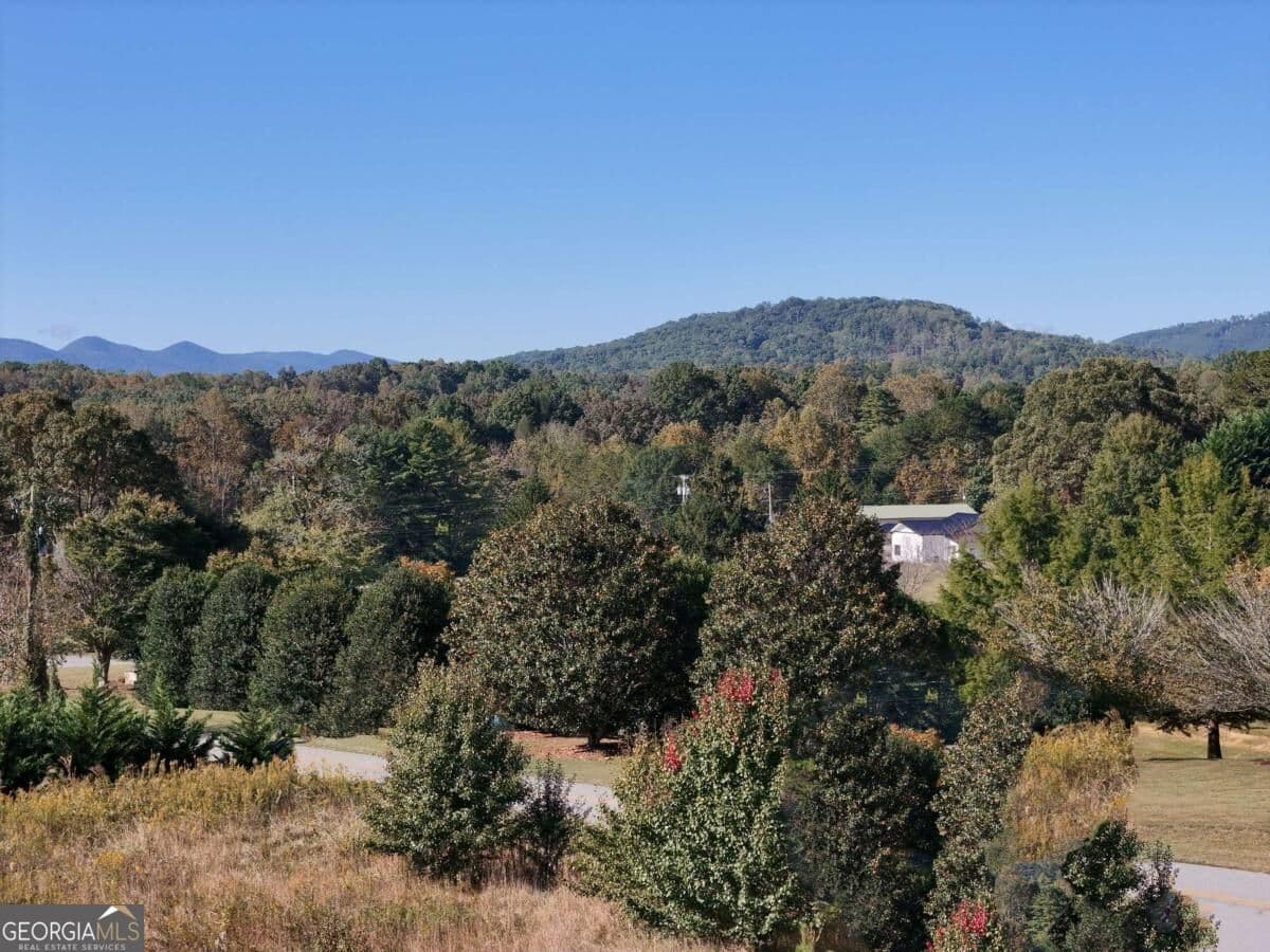 residential lot for sale at TR 2 Arbor Acres Farm Road, Blairsville, GA 30512 — photo 7
