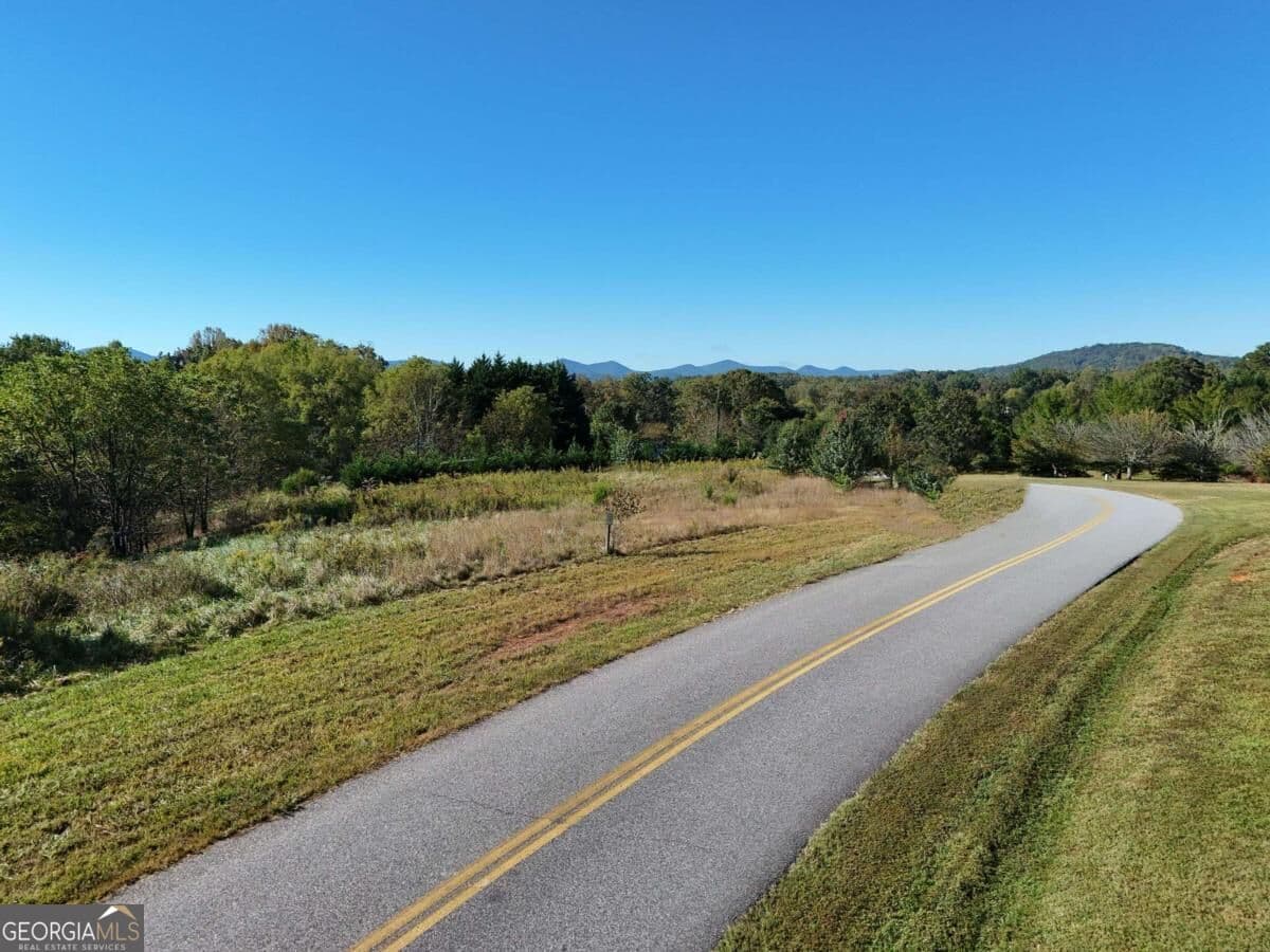 residential lot for sale at TR 2 Arbor Acres Farm Road, Blairsville, GA 30512 — photo 3