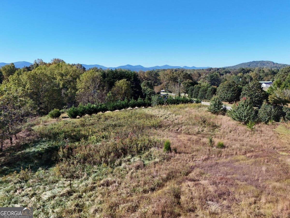residential lot for sale at TR 2 Arbor Acres Farm Road, Blairsville, GA 30512 — photo 5
