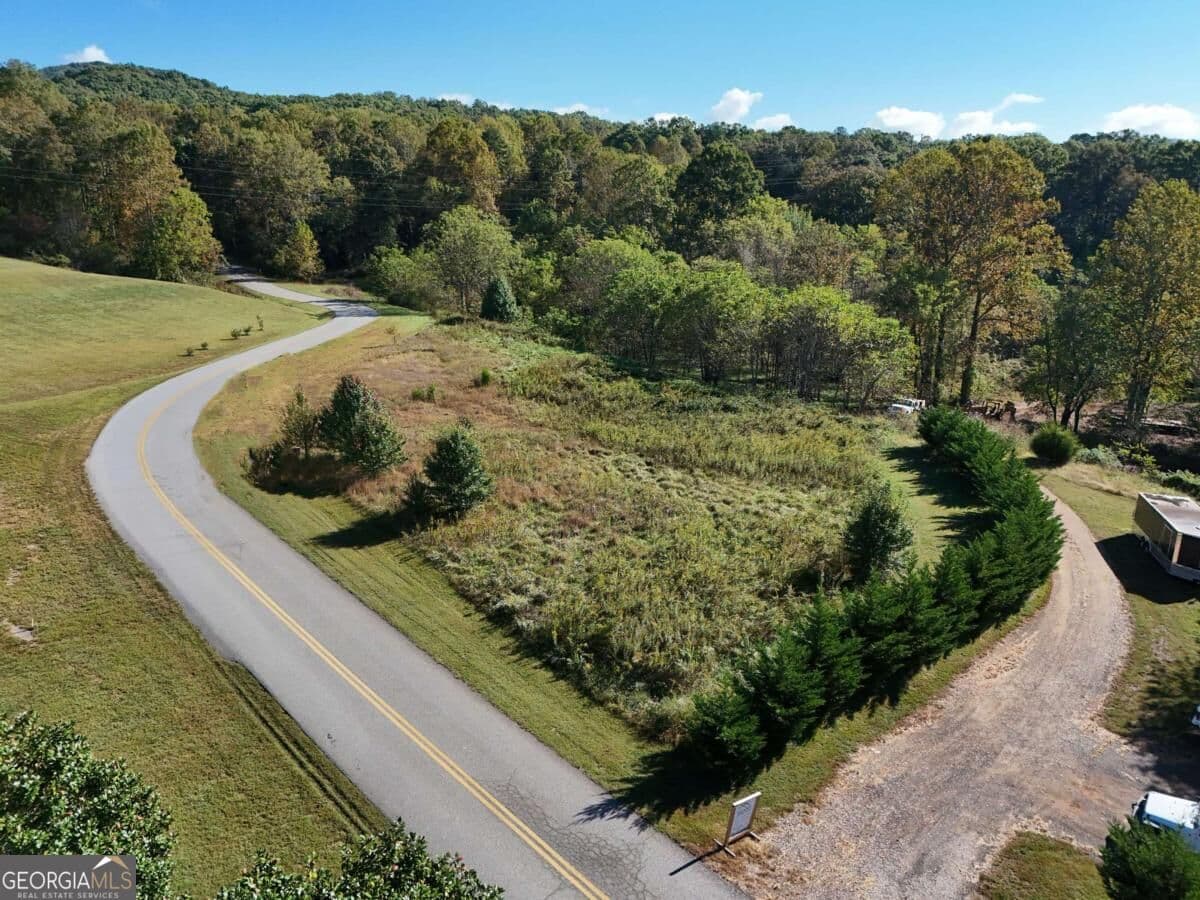 residential lot for sale at TR 2 Arbor Acres Farm Road, Blairsville, GA 30512 — photo 9