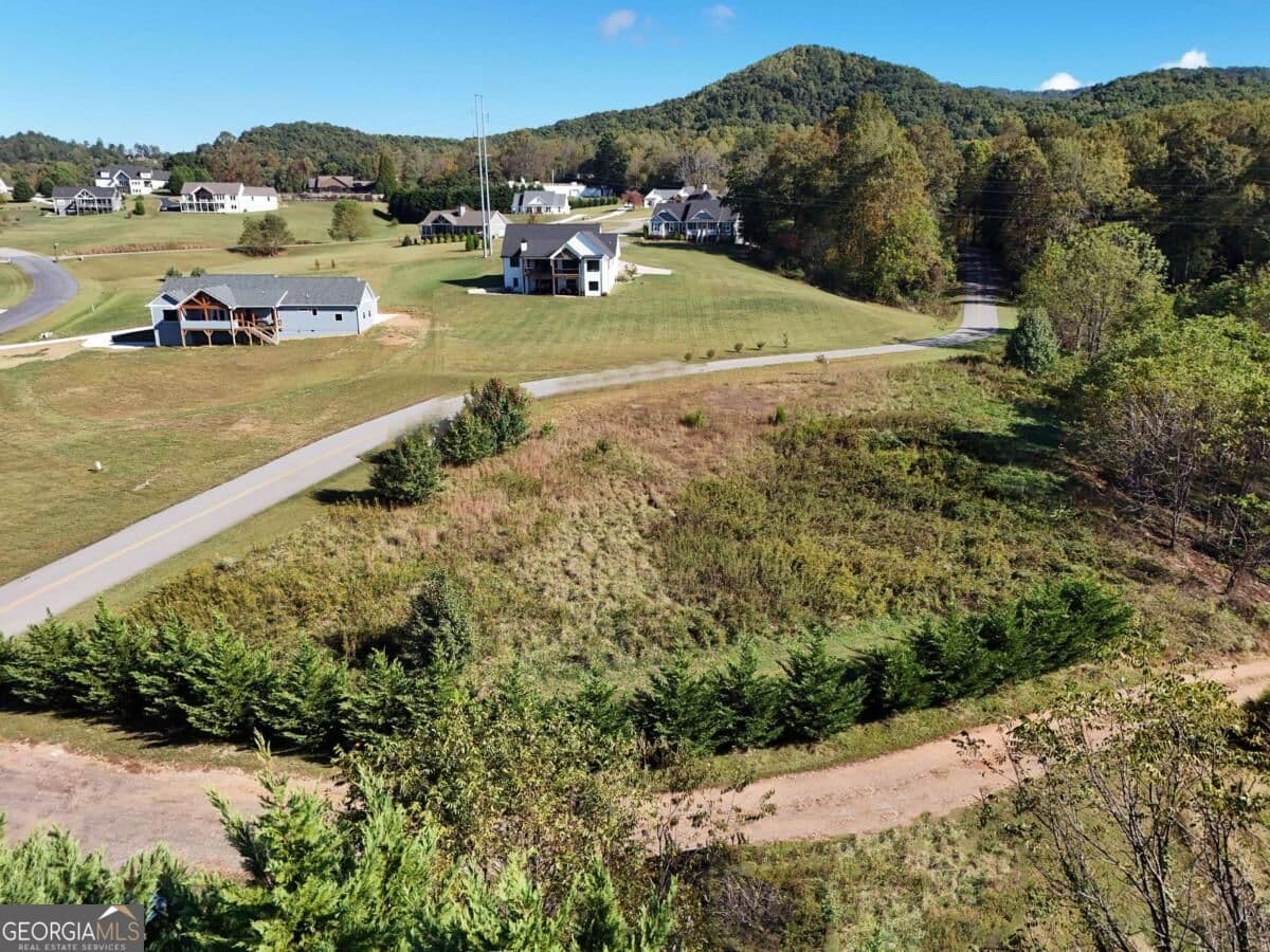 residential lot for sale at TR 2 Arbor Acres Farm Road, Blairsville, GA 30512 — photo 10