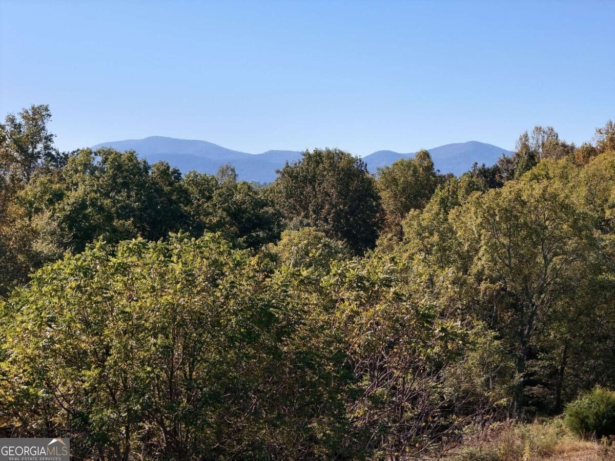 residential lot for sale at TR 2 Arbor Acres Farm Road, Blairsville, GA 30512 — photo 4