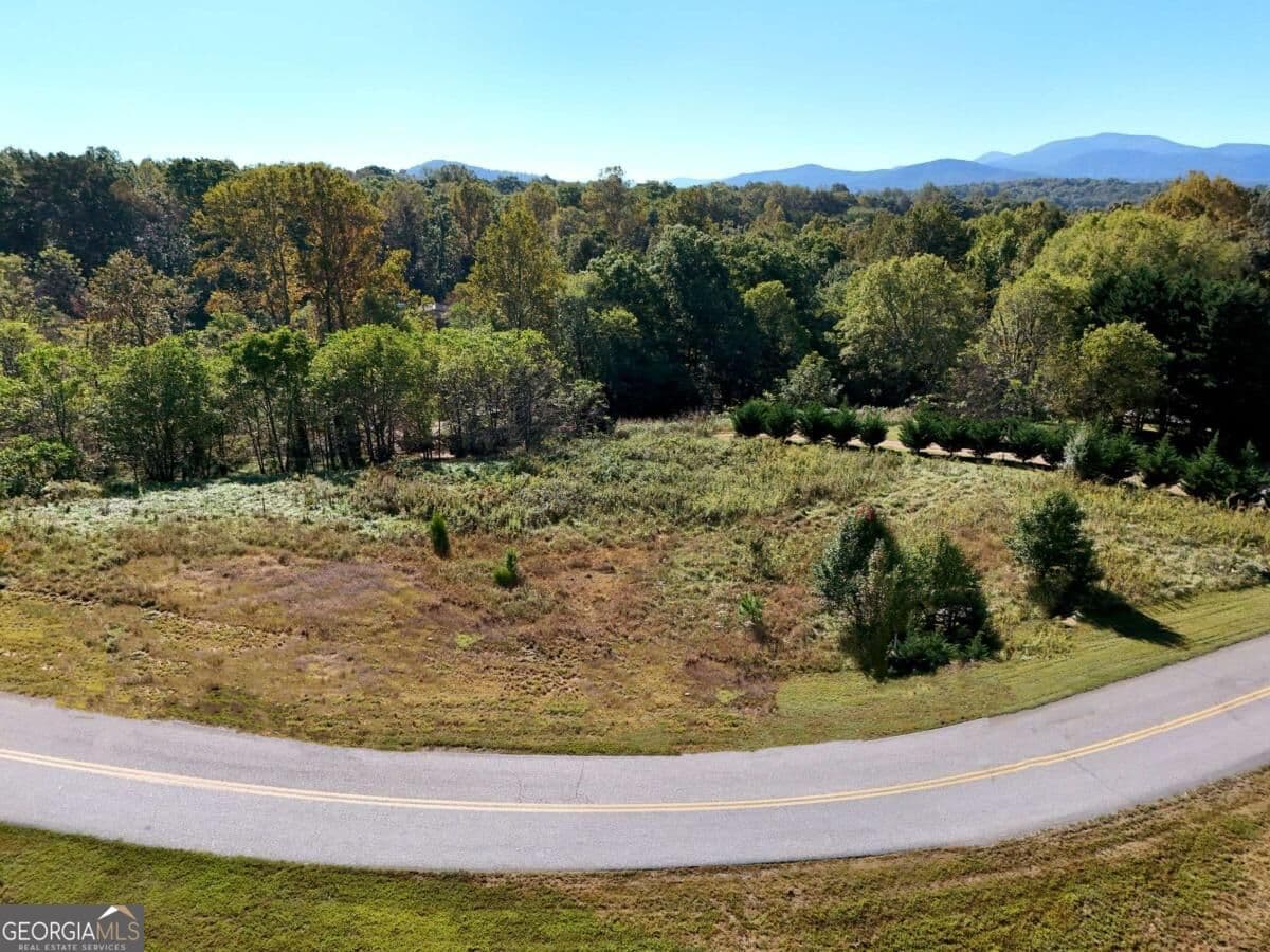 residential lot for sale at TR 2 Arbor Acres Farm Road, Blairsville, GA 30512 — photo 8