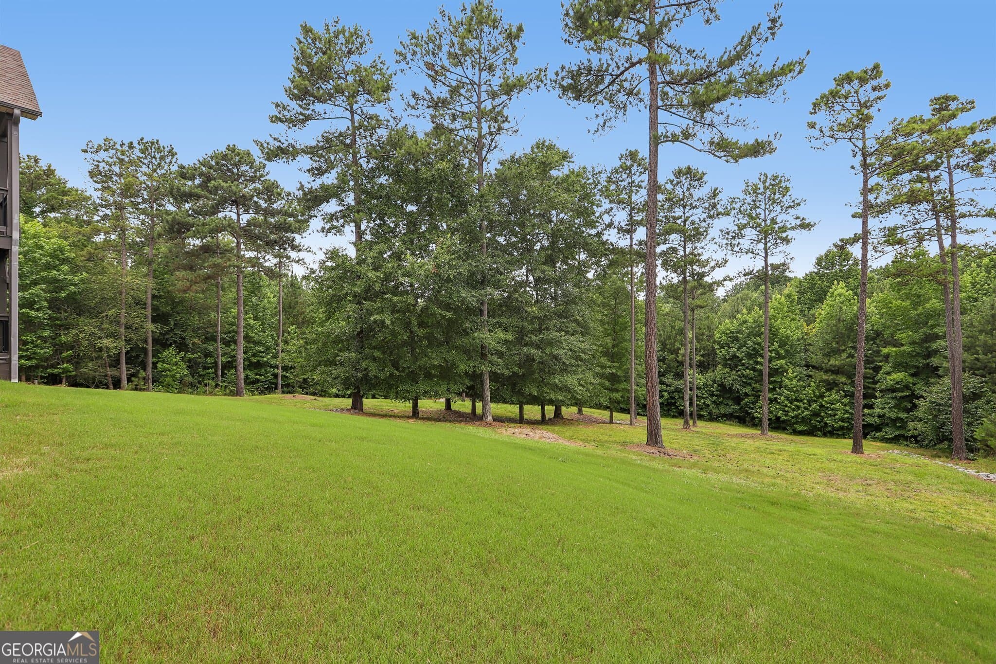 8 bedroom, 7 bathroom, 6,839 sq ft single family residence for sale at 109 Sagewood Court, Newnan, GA 30265 — photo 8