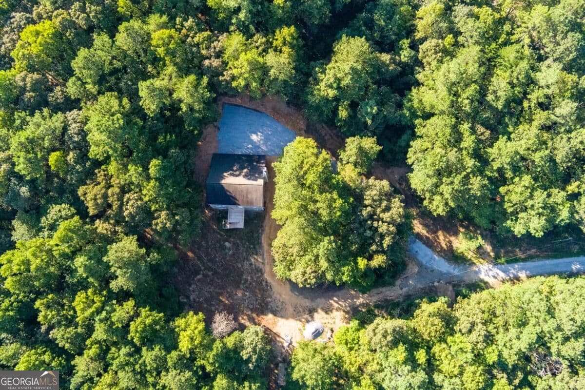 3 bedroom, 2.5 bathroom, 1,980 sq ft single family residence for sale at 45 Satcher Road, Taylorsville, GA 30178 — photo 6
