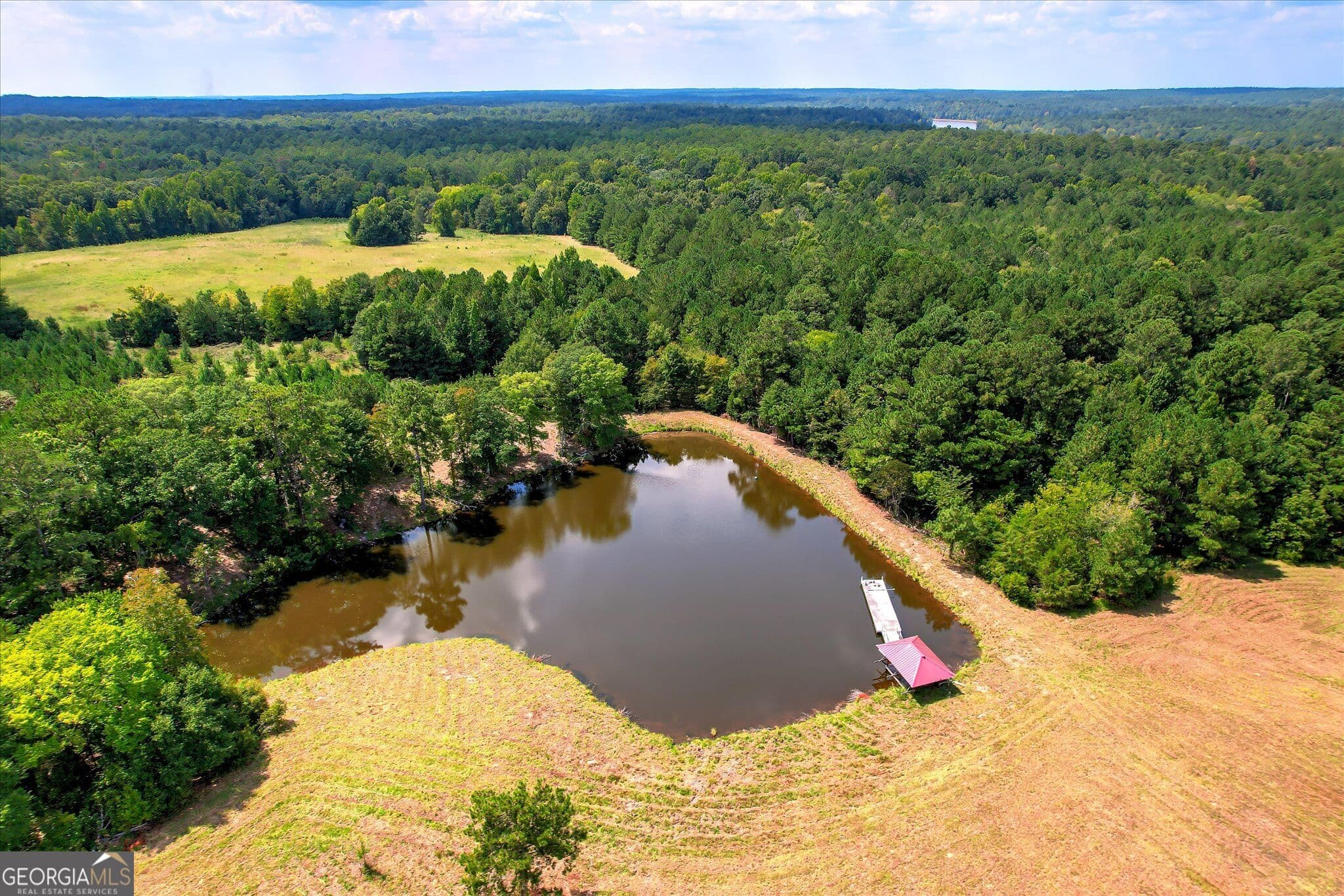 agriculture for sale at 2207 McCormick Highway, Lincolnton, GA 30817 — photo 2