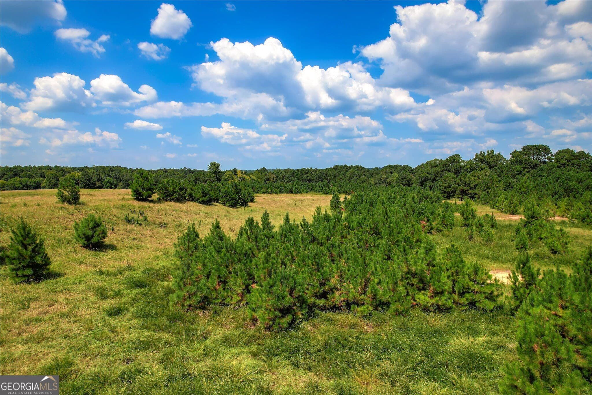 agriculture for sale at 2207 McCormick Highway, Lincolnton, GA 30817 — photo 6