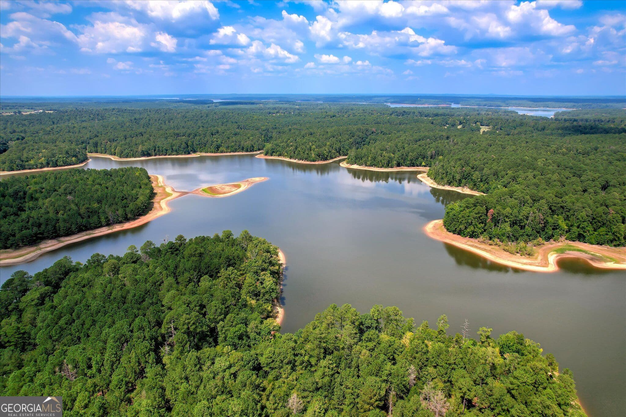 agriculture for sale at 2207 McCormick Highway, Lincolnton, GA 30817 — photo 3