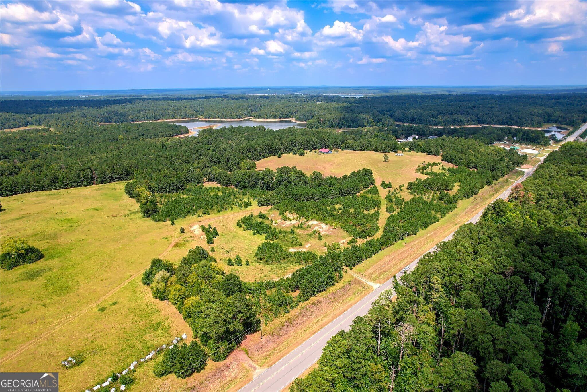 agriculture for sale at 2207 McCormick Highway, Lincolnton, GA 30817 — photo 5