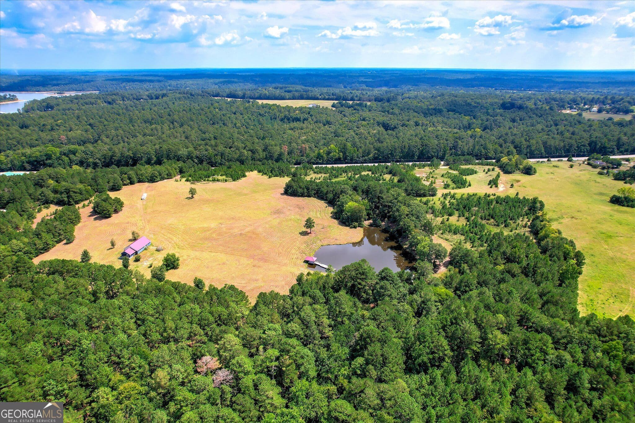 agriculture for sale at 2207 McCormick Highway, Lincolnton, GA 30817 — photo 9