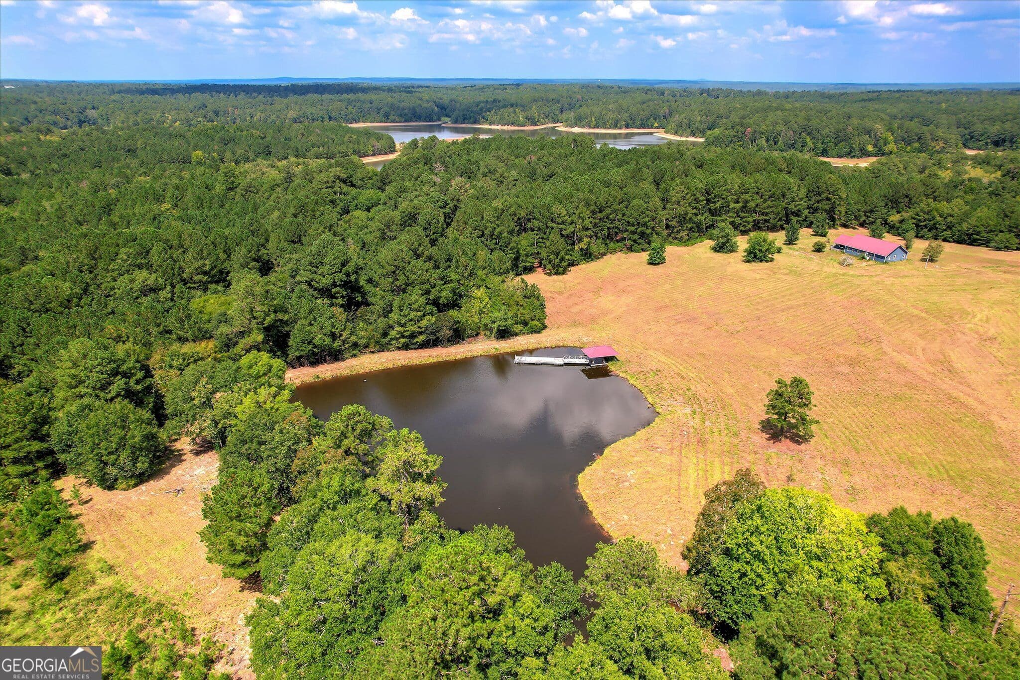 agriculture for sale at 2207 McCormick Highway, Lincolnton, GA 30817 — photo 4