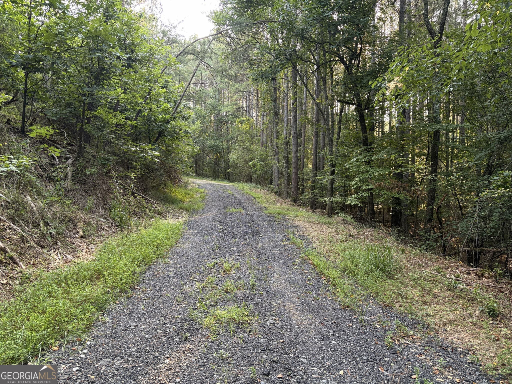 unimproved land for sale at 0 Fairmount Highway 9614-P, Fairmount, GA 30139 — photo 6