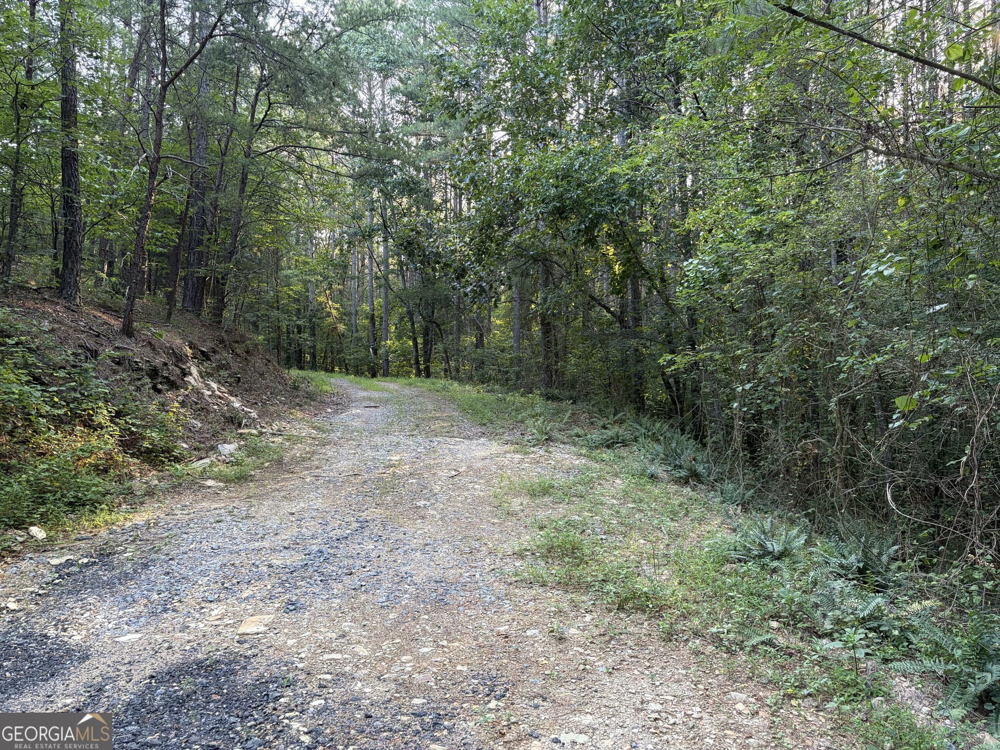 unimproved land for sale at 0 Fairmount Highway 9614-P, Fairmount, GA 30139 — photo 7