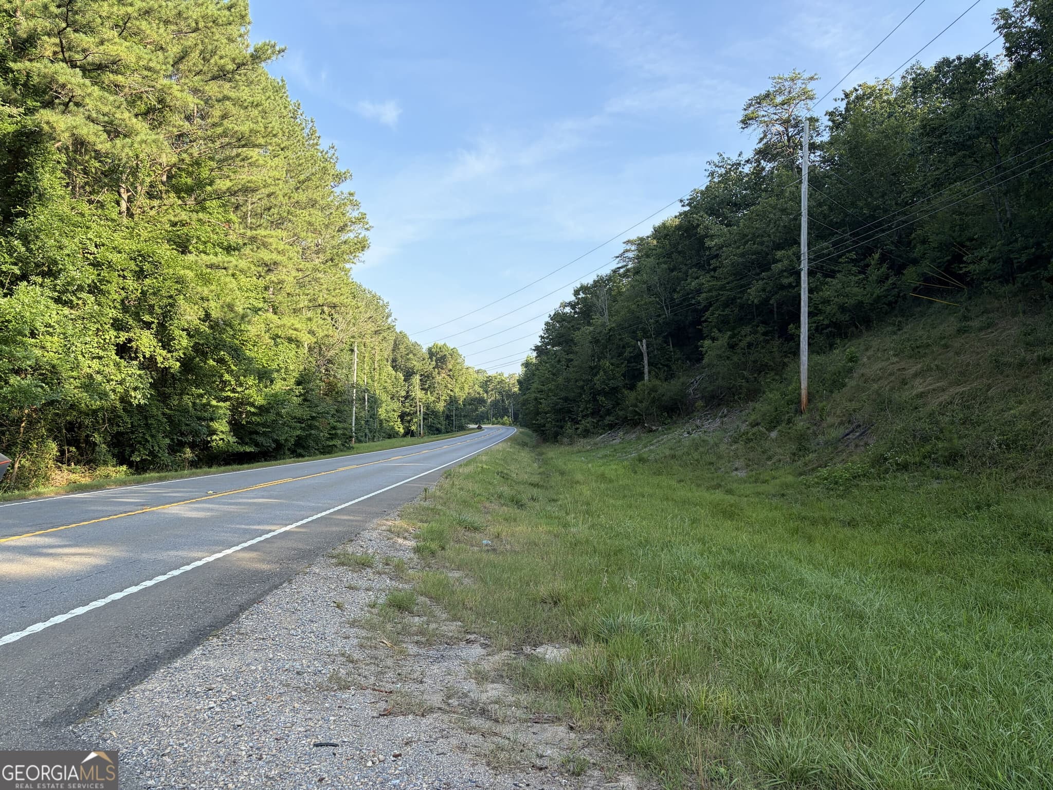 unimproved land for sale at 0 Fairmount Highway 9614-P, Fairmount, GA 30139 — photo 3