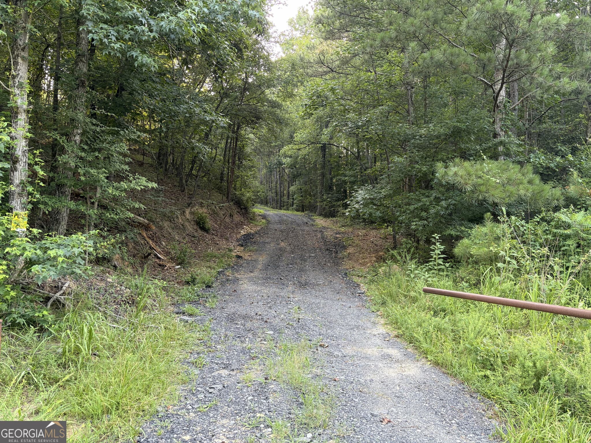 unimproved land for sale at 0 Fairmount Highway 9614-P, Fairmount, GA 30139 — photo 5