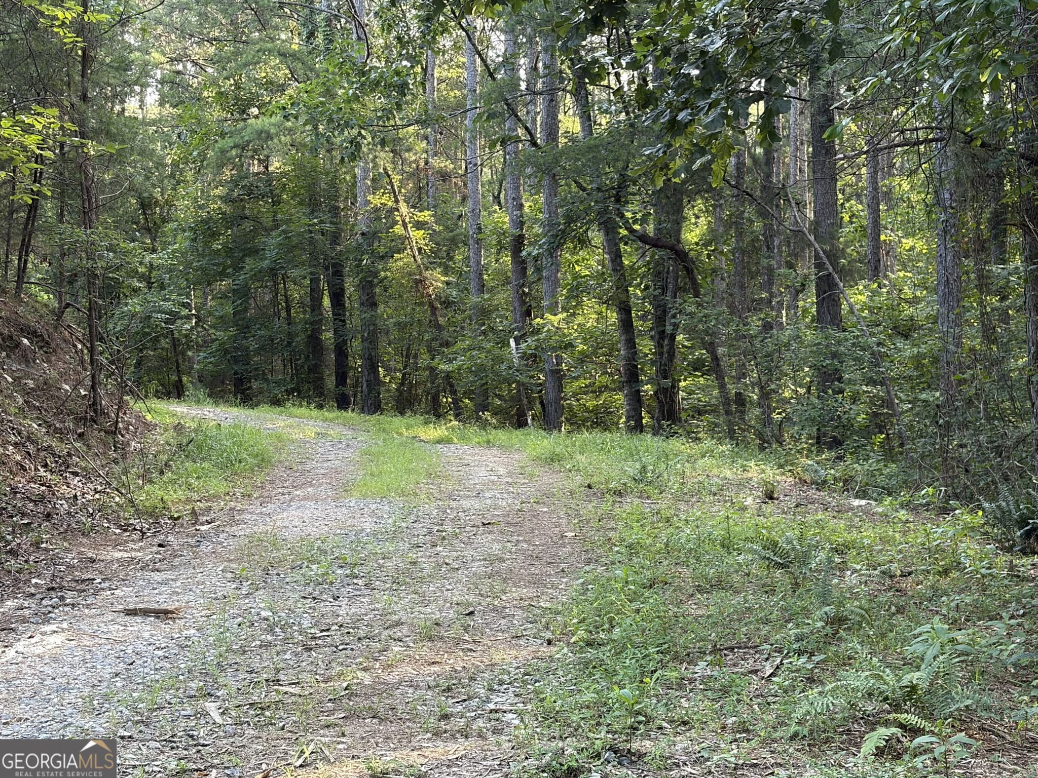 unimproved land for sale at 0 Fairmount Highway 9614-P, Fairmount, GA 30139 — photo 9