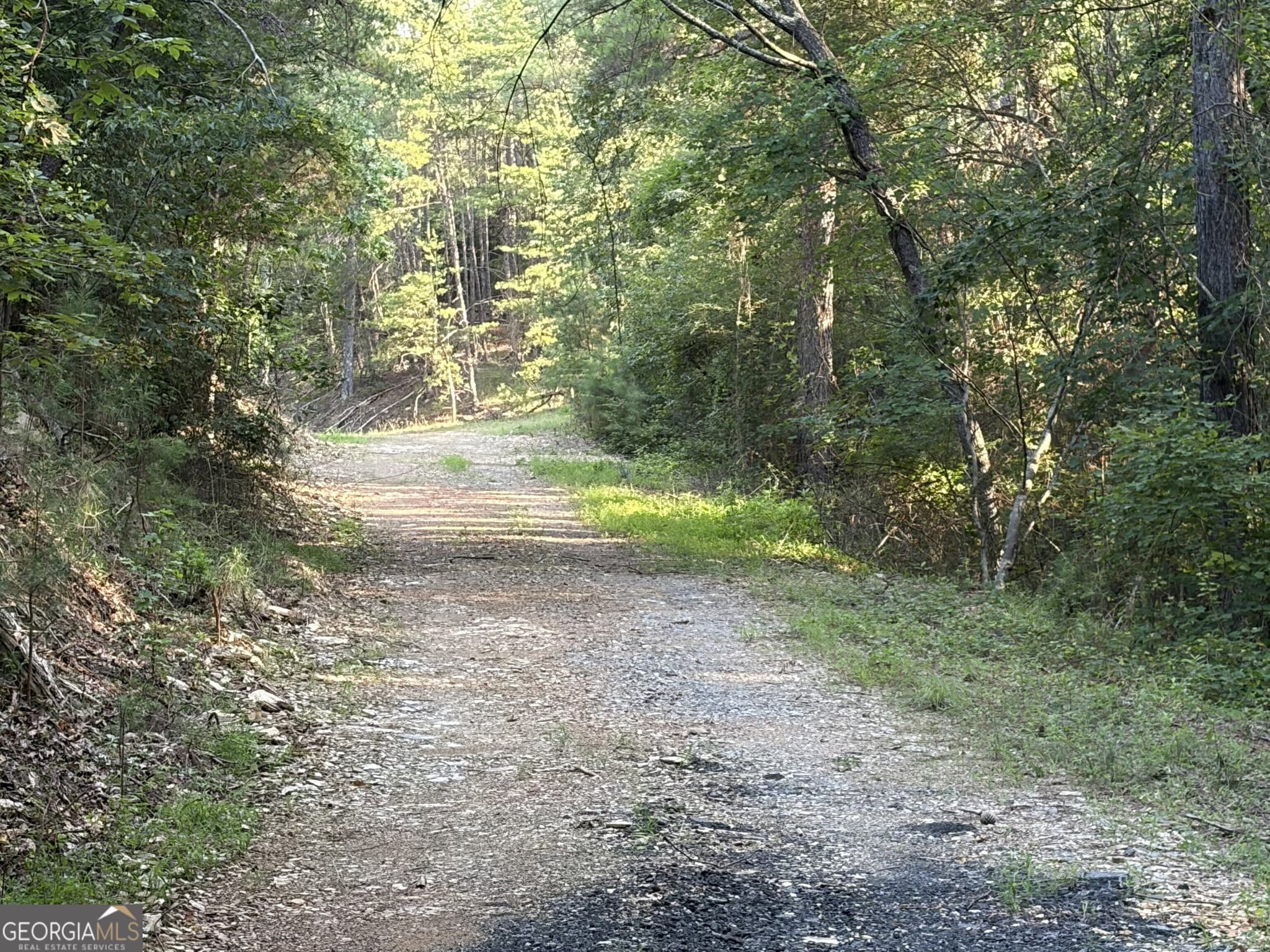 unimproved land for sale at 0 Fairmount Highway 9614-P, Fairmount, GA 30139 — photo 10