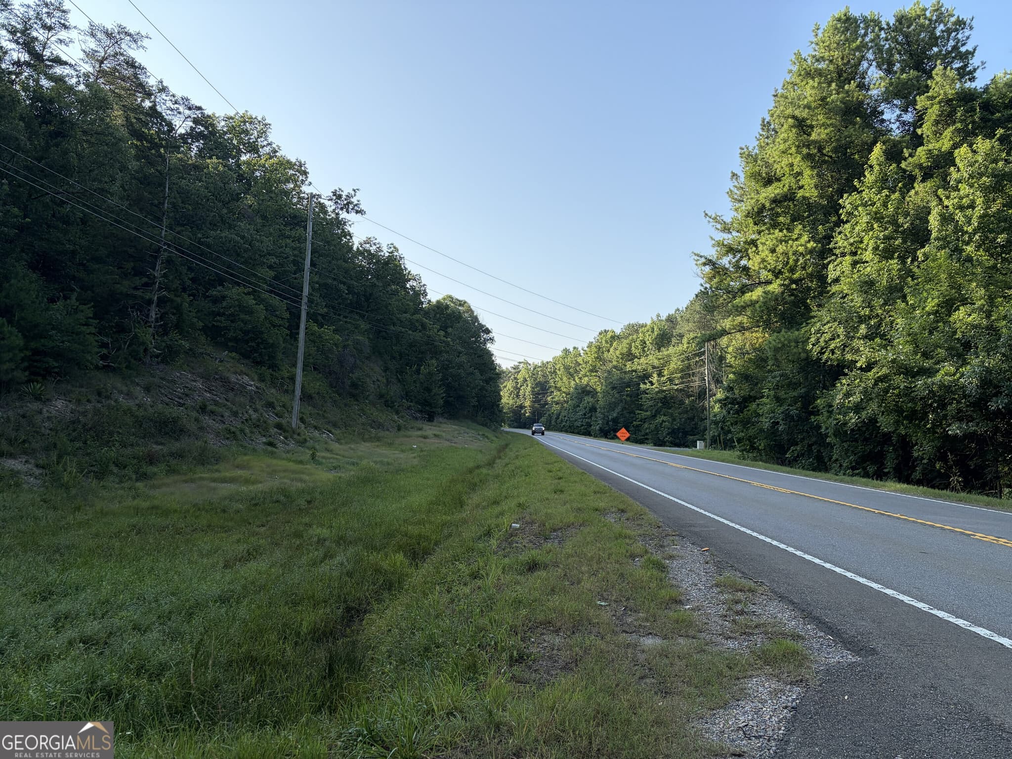 unimproved land for sale at 0 Fairmount Highway 9614-P, Fairmount, GA 30139 — photo 4