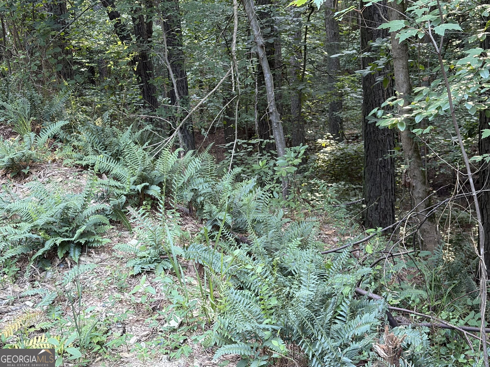 unimproved land for sale at 0 Fairmount Highway 9614-P, Fairmount, GA 30139 — photo 8