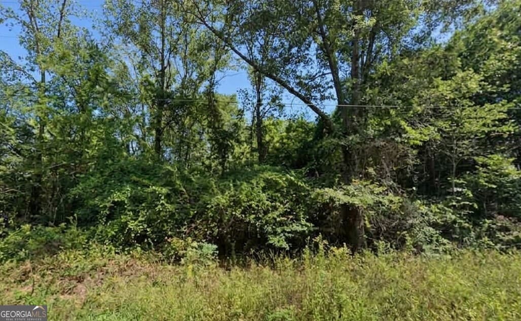residential lot for sale at 0 Mccullars Drive LOT 4, Weaver, AL 36277 — photo 2