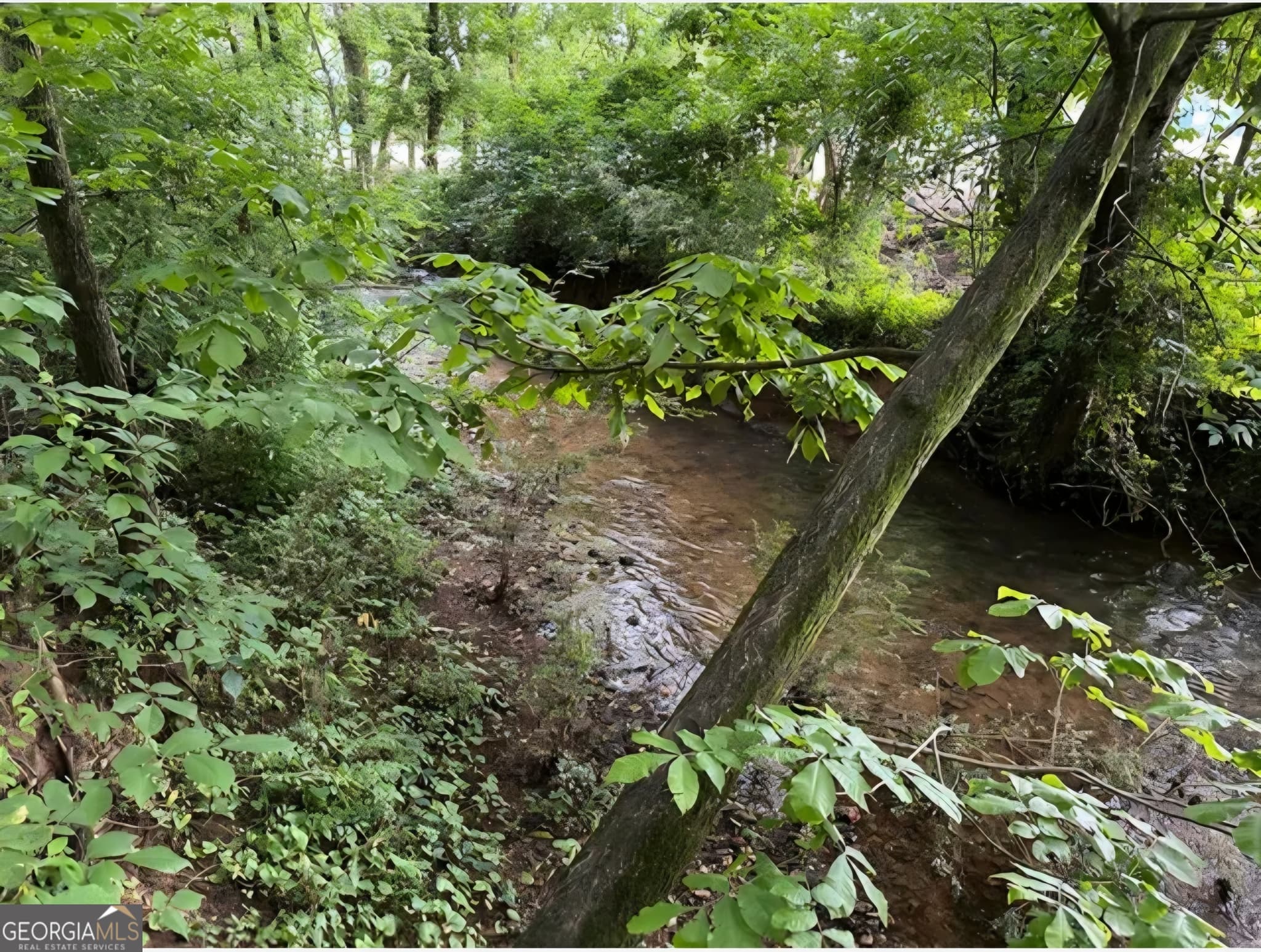residential lot for sale at 0 Brewsterfield Road, Cedartown, GA 30125 — photo 2