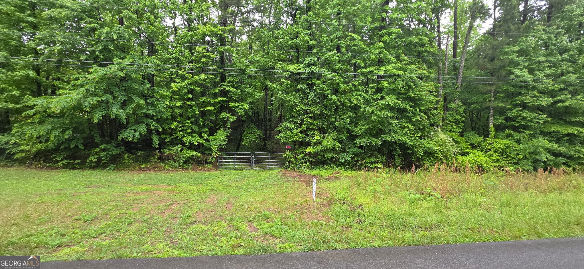 residential lot for sale at 0 Brewsterfield Road, Cedartown, GA 30125 — photo 3
