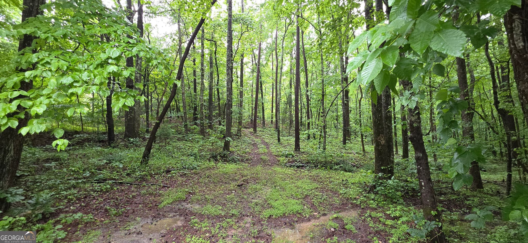 residential lot for sale at 0 Brewsterfield Road, Cedartown, GA 30125 — photo 1 of 6