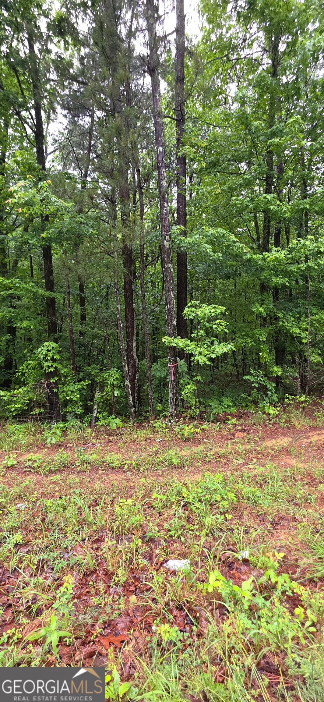 residential lot for sale at 0 Brewsterfield Road, Cedartown, GA 30125 — photo 5