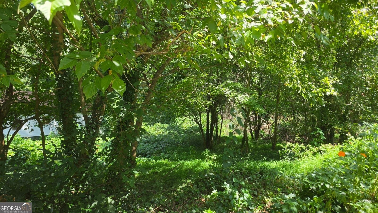 residential lot for sale at 3407 Lawrence Street, Scottdale, GA 30079 — photo 2