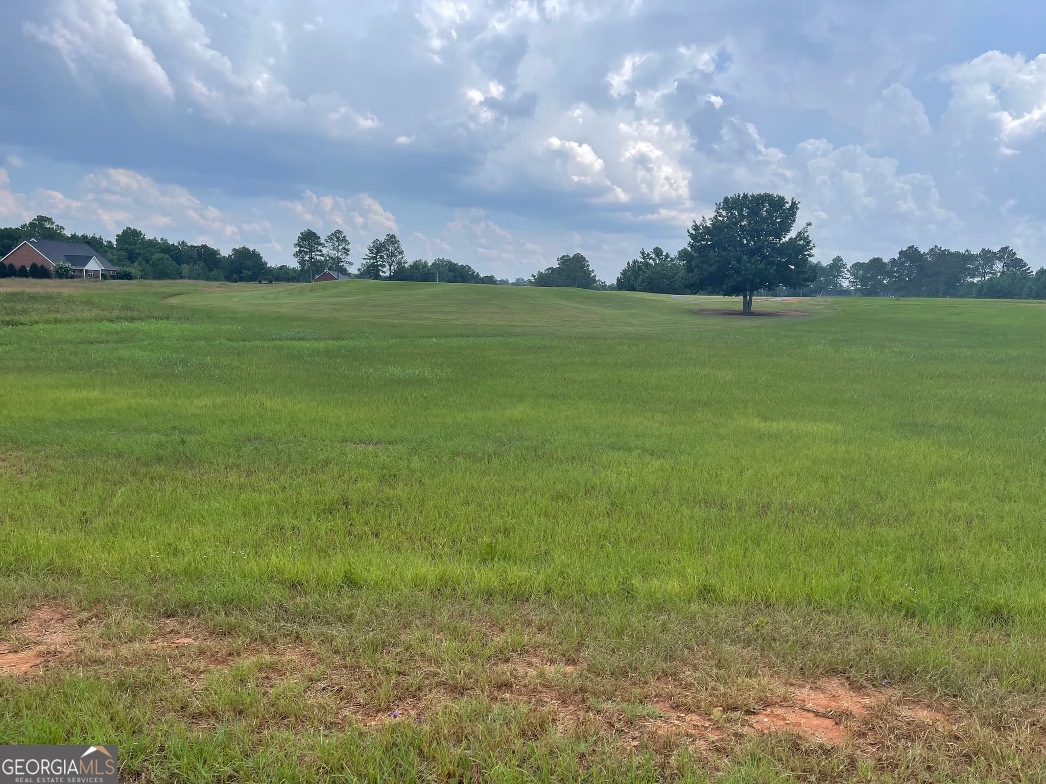 residential lot for sale at 44 Crabapple Drive, Hawkinsville, GA 31036 — photo 2