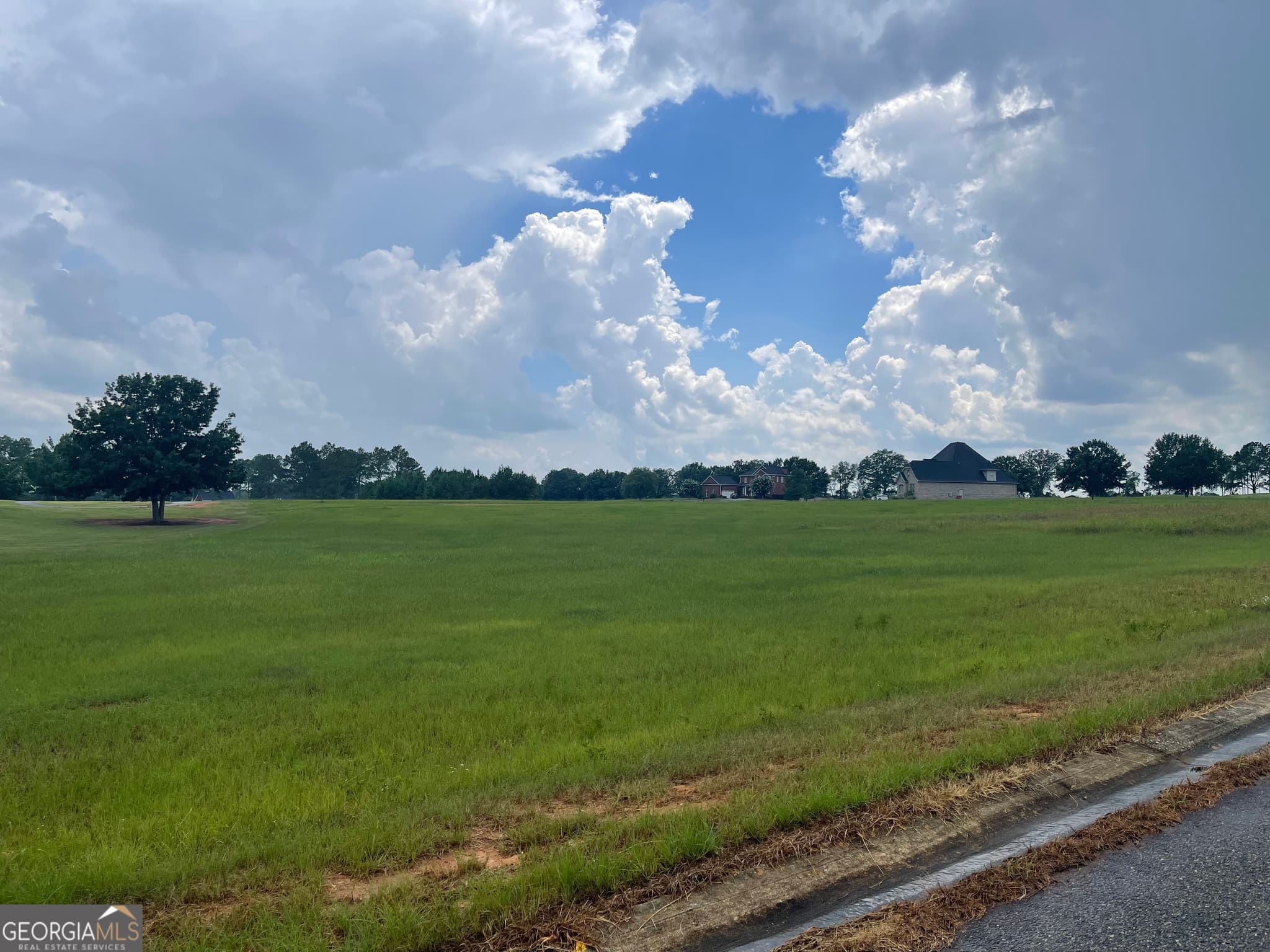 residential lot for sale at 44 Crabapple Drive, Hawkinsville, GA 31036 — photo 3