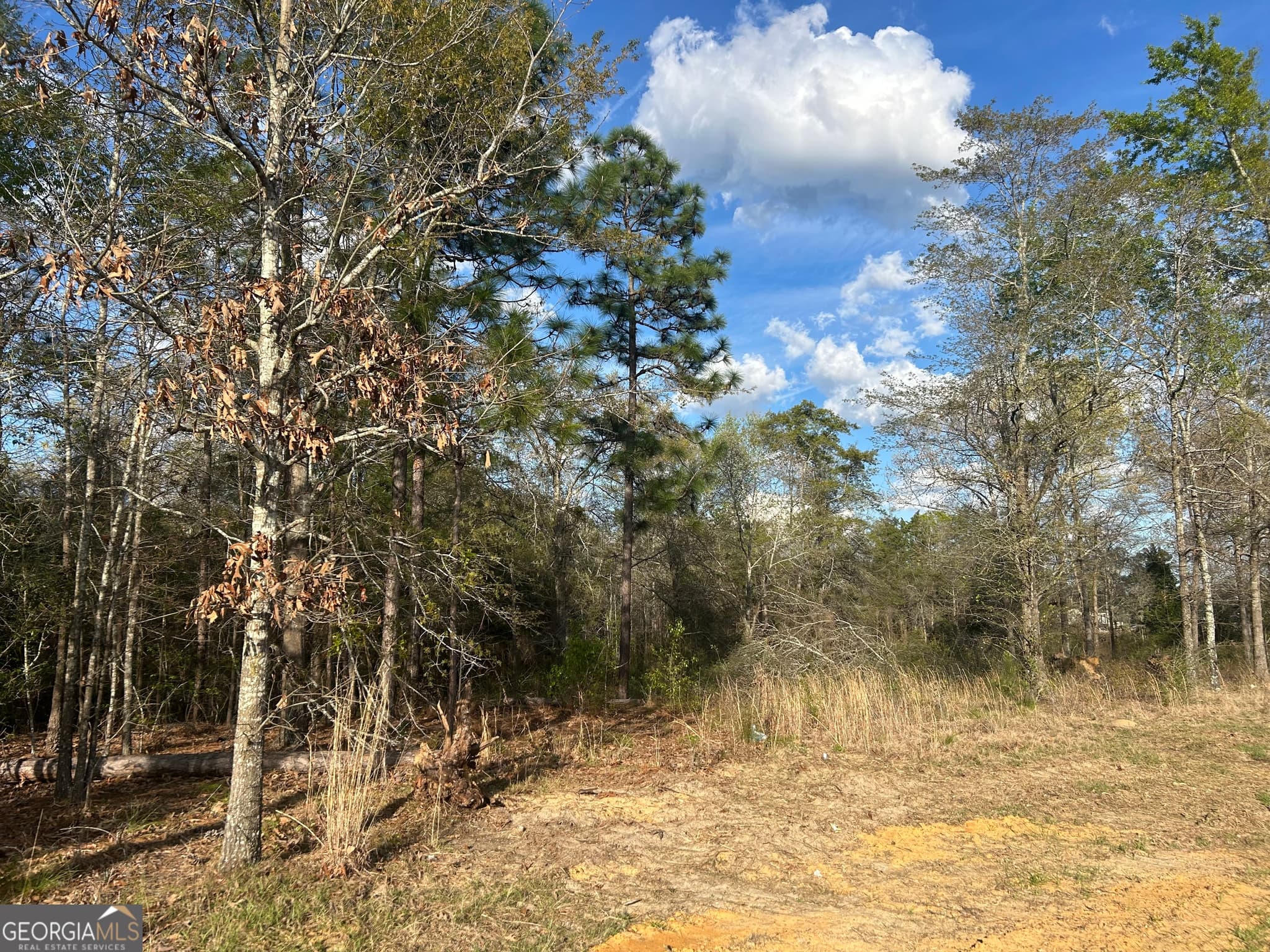 unimproved land for sale at 0 Highway 80, Brooklet, GA 30415 — photo 2