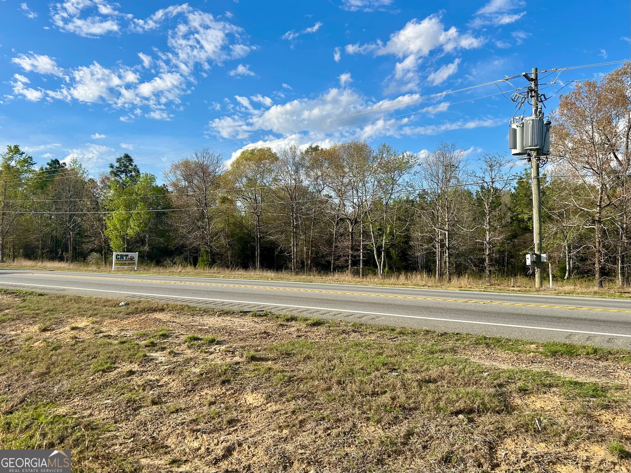 unimproved land for sale at 0 Highway 80, Brooklet, GA 30415 — photo 1 of 3