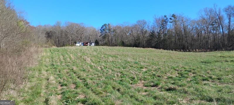 agriculture for sale at 2331 Kesler Road, Carnesville, GA 30521 — photo 2