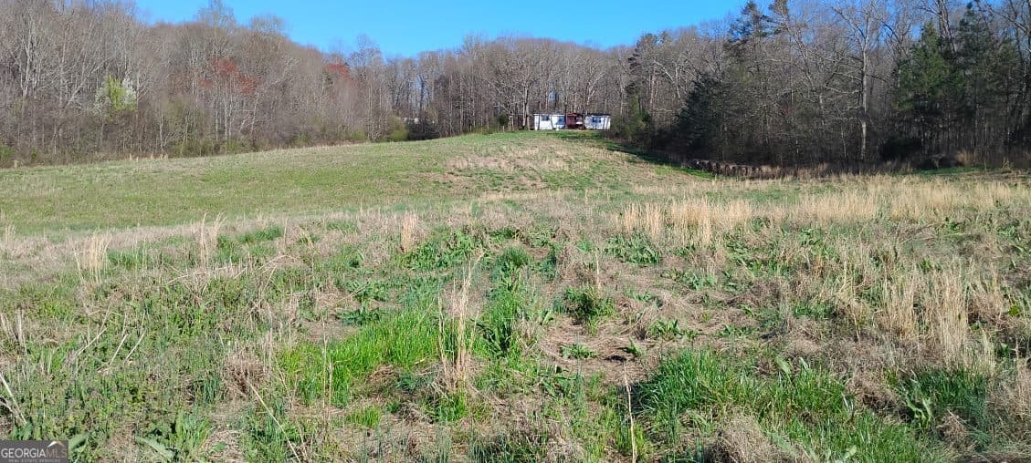 agriculture for sale at 2331 Kesler Road, Carnesville, GA 30521 — photo 6