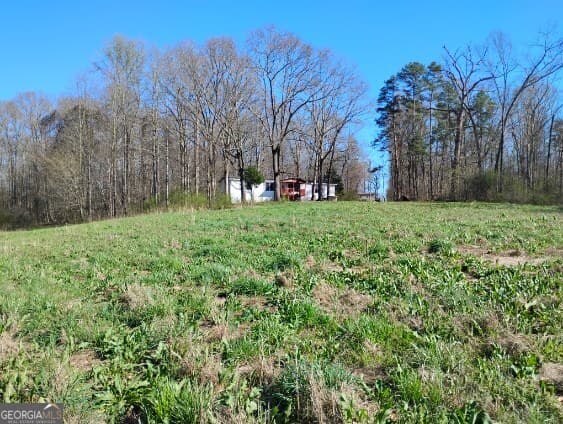 agriculture for sale at 2331 Kesler Road, Carnesville, GA 30521 — photo 7