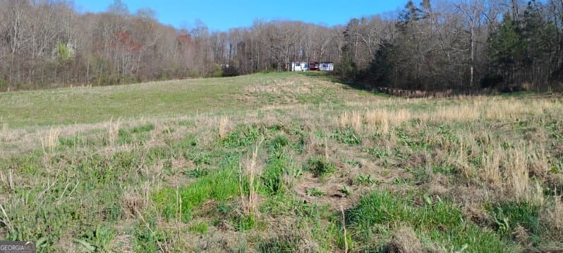 agriculture for sale at 2331 Kesler Road, Carnesville, GA 30521 — photo 3